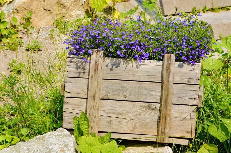 Helping Families Heal: Compassionate Clutter Removal and Hoarder Services